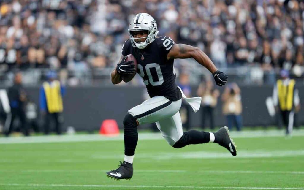 Professional Football Journey